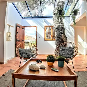 New - Tree House At Golden Island , Porto Santo Portugal